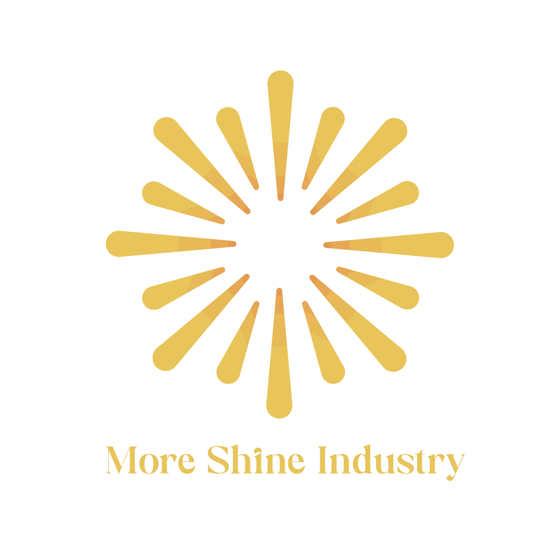 More Shine Industry 